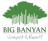 MEP Consultant for Vineyard Resorts and Hospitality Facilities – Big Banyan